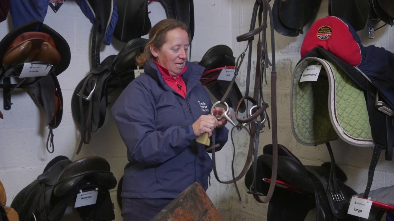 How to Clean a Bridle