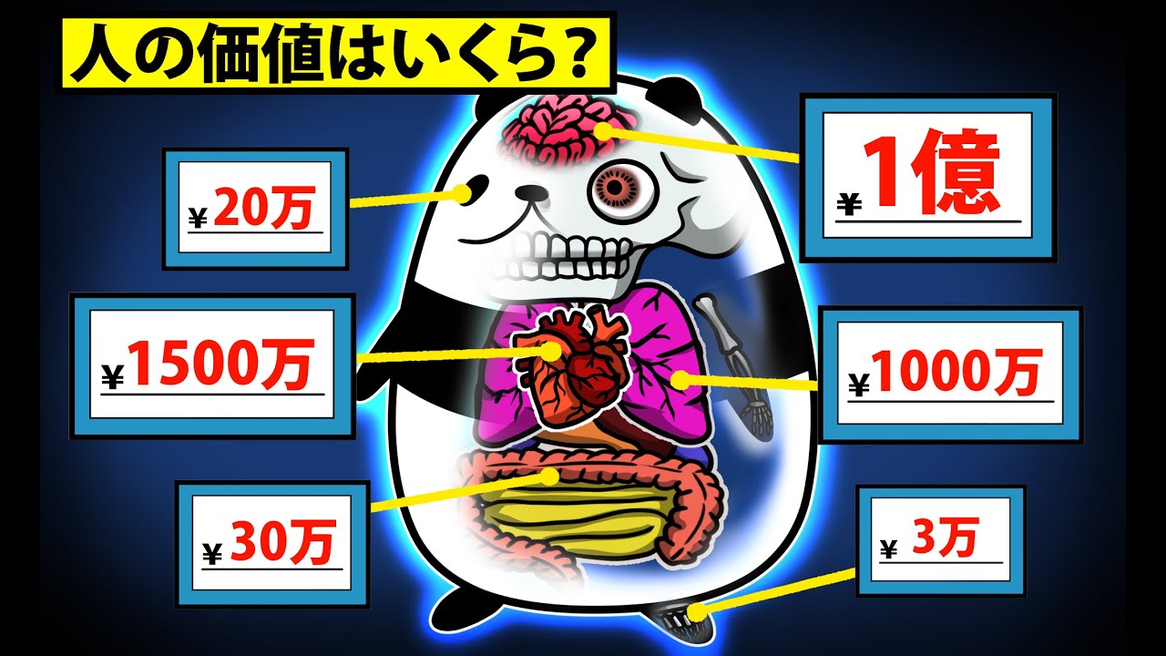 【アニメ】生き物の値段