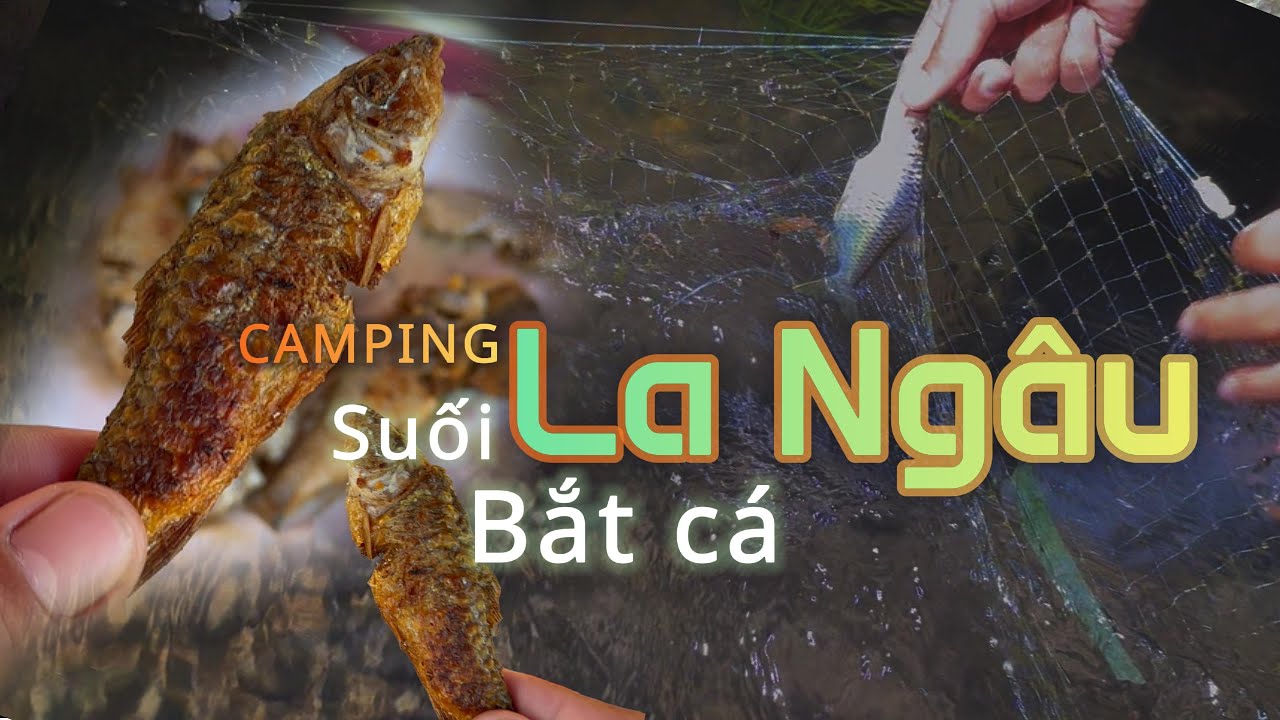 [Bình Thuận] LA NGÂU (Bãi cắm trại hoang dã Dân Hy): Trải nghiệm tắm suối và bắt cá