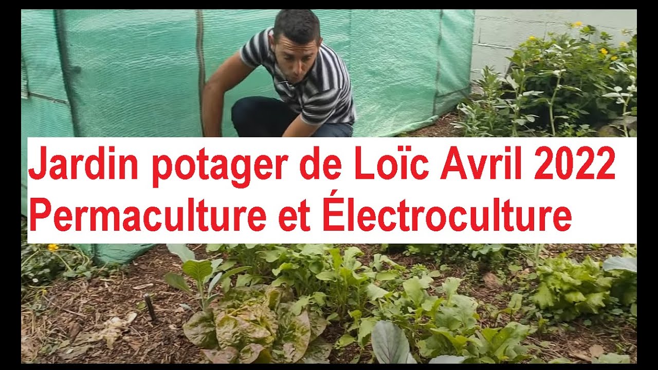 Jardin-Potager Permaculture et Électroculture de Loïc 18 avril 2022