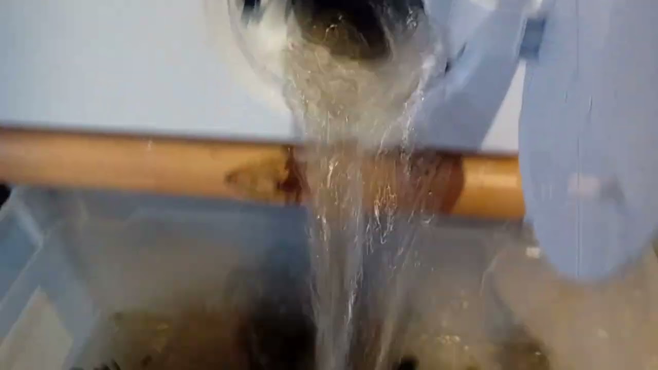 BEKO Washing Machine. How to Check & Clean Filter !