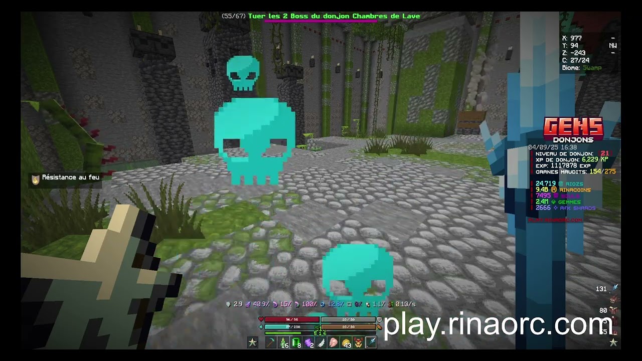 Rinaorc |Le farm en donjon ça saigne (Part 2/22)