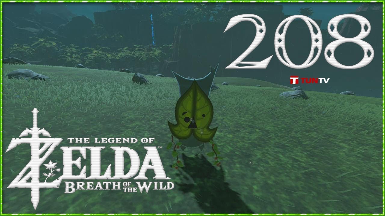The Legend of Zelda Breath of the Wild #208: Korogu Firone