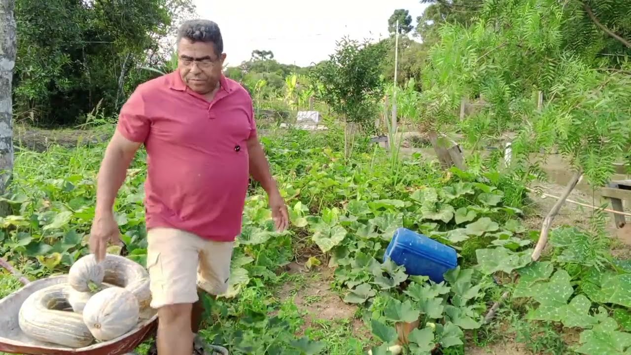 Quem já viveu uma vida assim na roça 