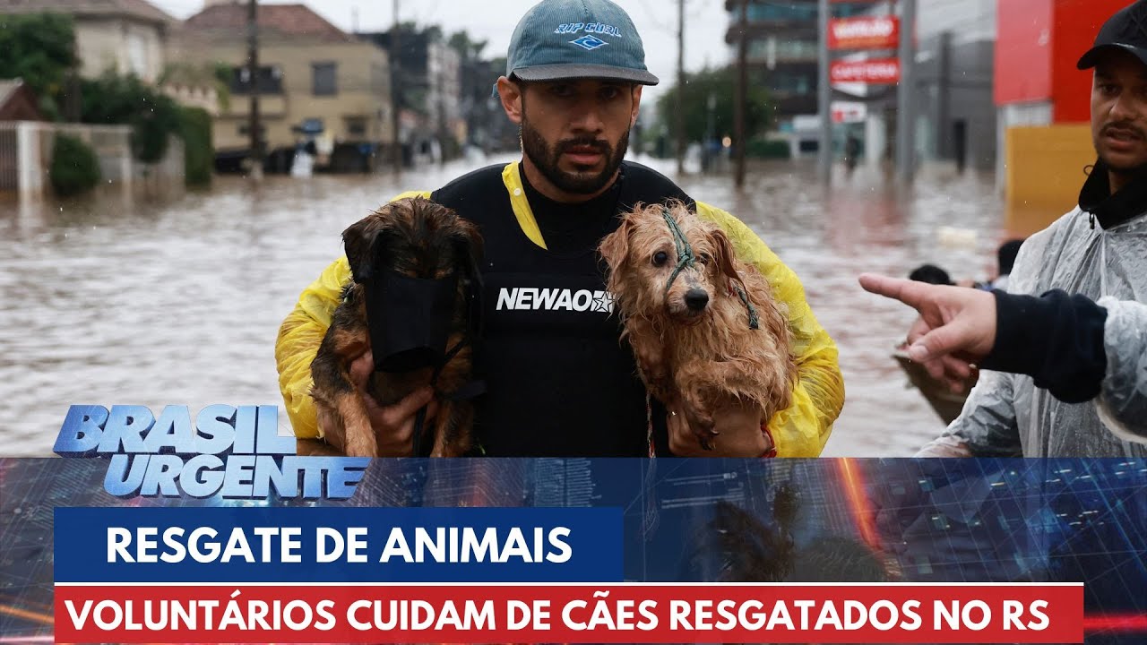 Voluntários fazem resgate de animais em enchentes no RS | Brasil Urgente