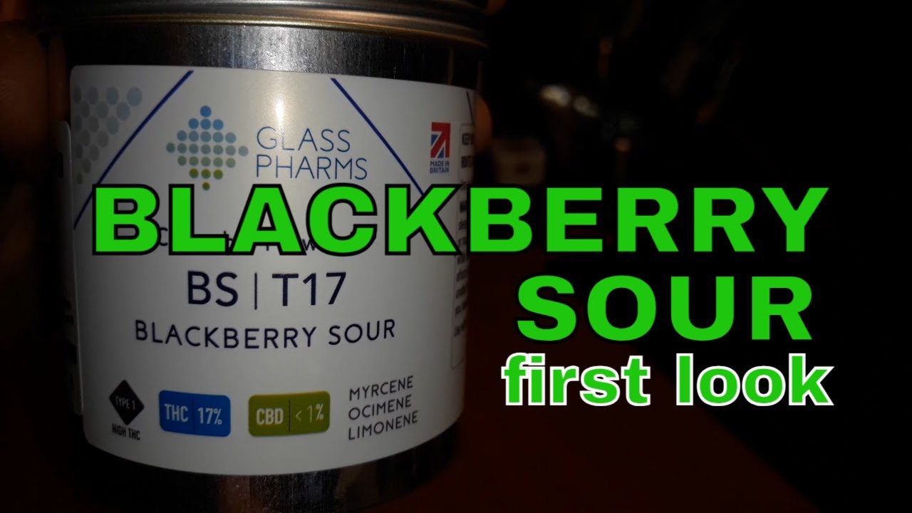 BLACKBERRY SOUR | Glass Pharms & Xeal Pharma | &pound;6.70/g | 17% | FIRST LOOK