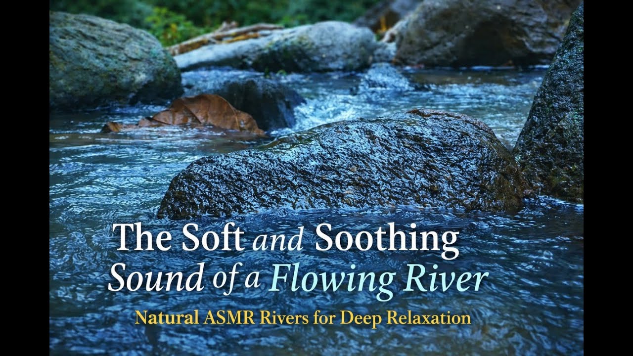 Soft and Soothing Sound of a Flowing River | Natural ASMR Rivers for Deep Relaxation