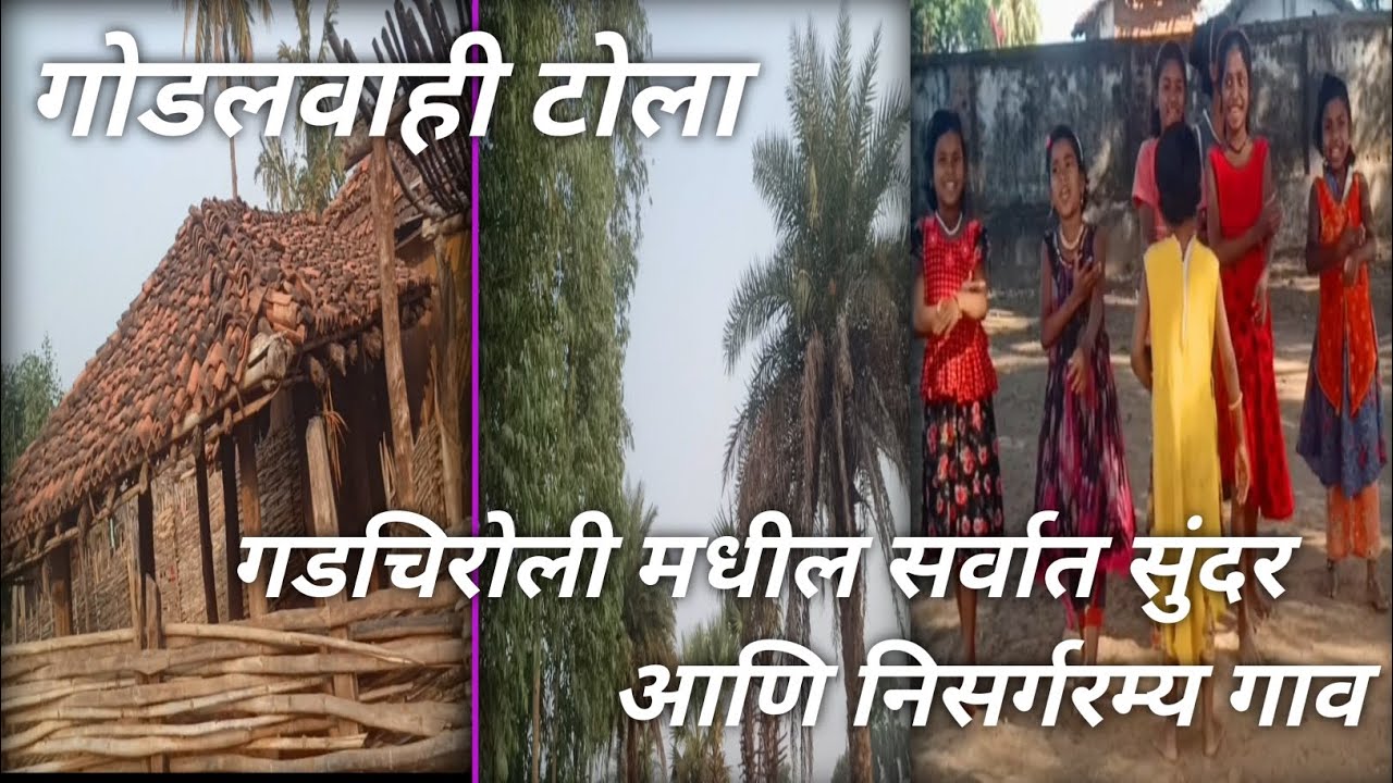 Gadchiroli Village| Village in Gadcbiroli| Godalwahi | Godalwahi Tola| आदिवासी संस्कृती|आदिवासी गाव