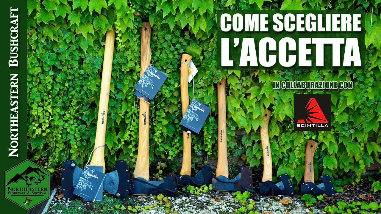 Come scegliere l'accetta: tipi, dimensioni, usi.