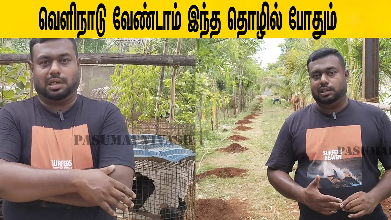 வெளிநாடு போகாதீங்க இந்த தொழில் போதும்/Don't go abroad, this career is enough