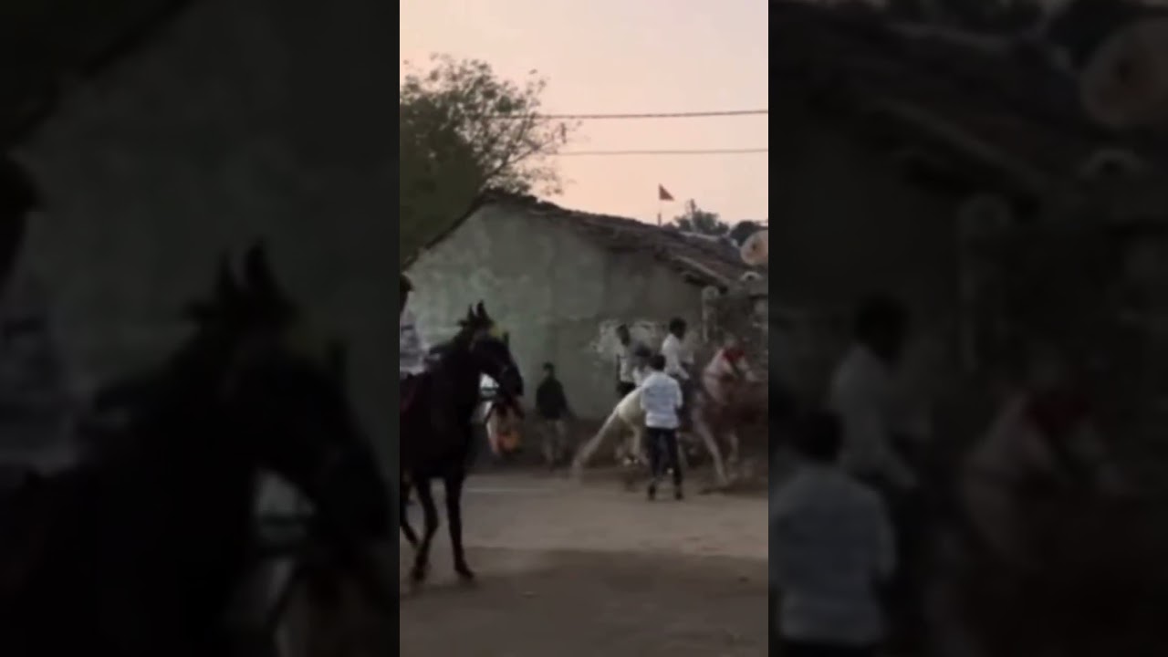 આજે તો ગયા આદસંગ ગામ મા ફૂલેકું જોવા #horse laver#fuleku#roji#secunder#devdutt#Chetak#full vlog 