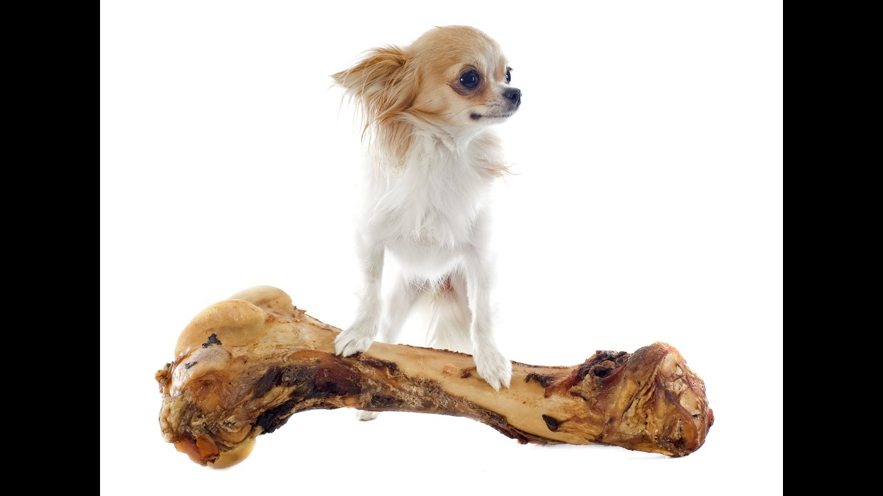 South African UNIT STANDARDS