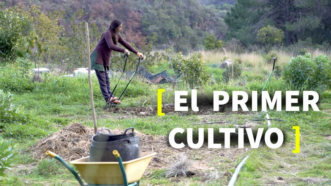 Un HUERTO para SIEMPRE 👩🏻‍🌾 [fácil y respetuoso con el suelo]