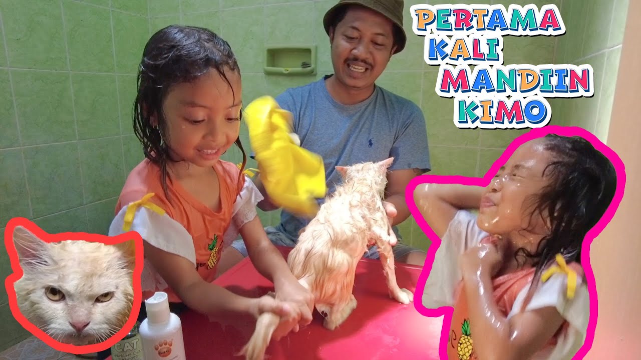 PERTAMA KALI KIMO DI MANDIIN, KUCING GANTENG NYA LEIKA!