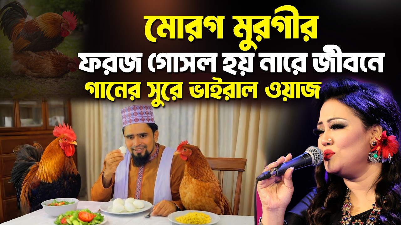 মোরগ মুরগীর ফরজ গোসল হয় নারে জীবনে সেই মুরগীর ডিম খাও মোল্লা কোন ফতোয়া দিয়া_Mosharof Hosen Salauddin
