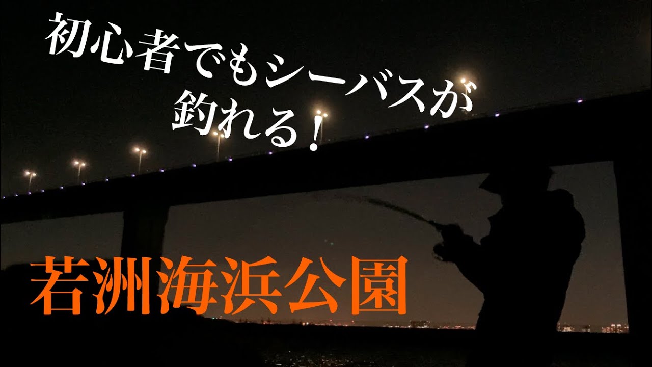 若洲海浜公園でシーバス狙い！若洲海浜は初心者でもシーバスが釣れる！