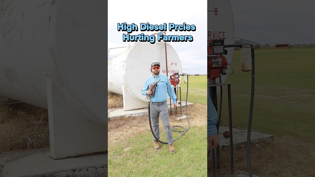 Высокие цены на дизельное топливо