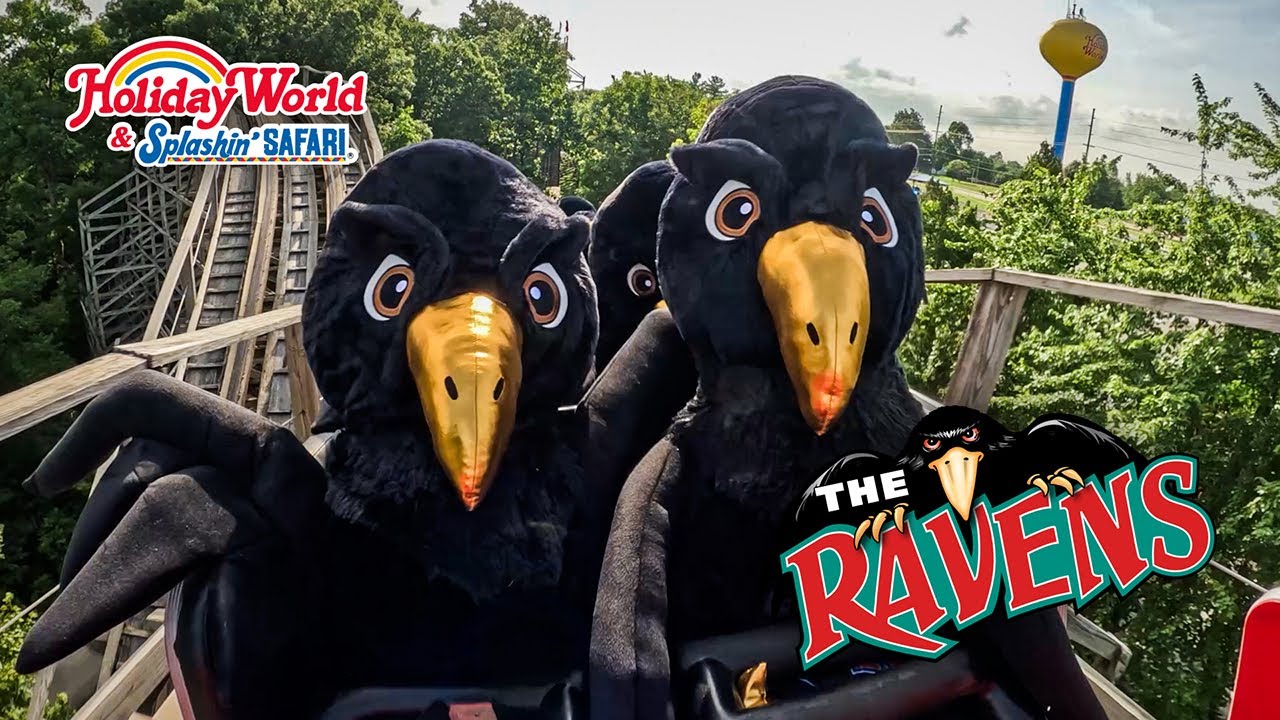The Ravens
