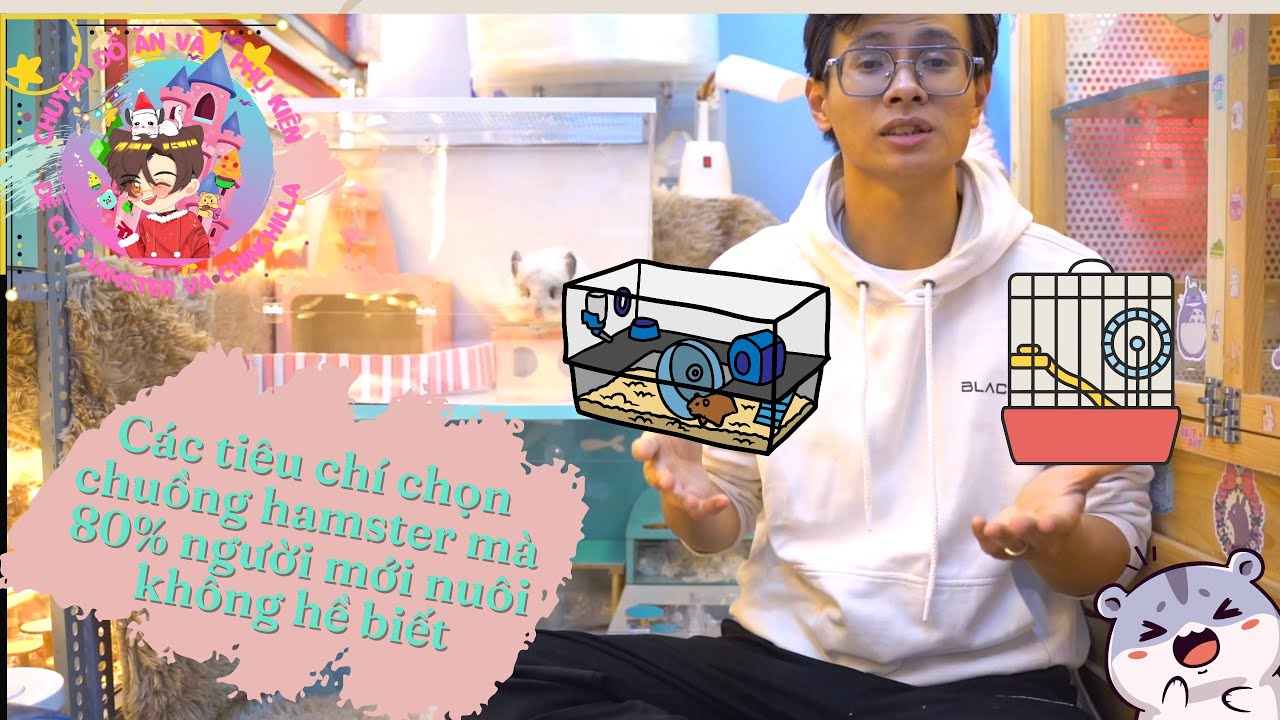Những tiêu chí chọn chuồng hamster mà người mới nuôi hamster phải biết