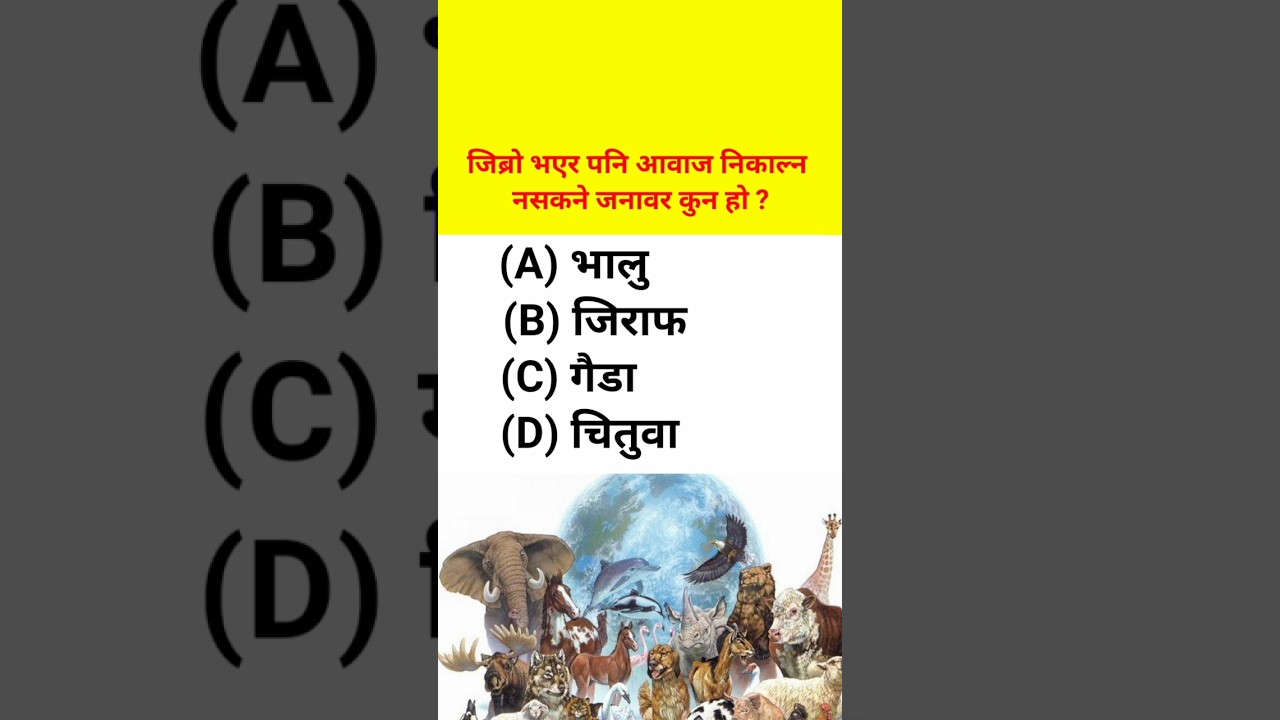 gk question answer nepali || gk quiz questions nepali #shortvideo