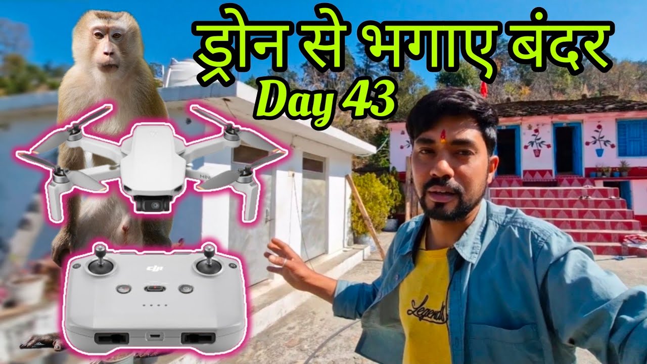 बंदरों को ड्रोन कैमरा से भगाना पड़ा 🫢🫢 लेकिन बंदर तो 🫢🫢😂😂 #phadilifestyle 