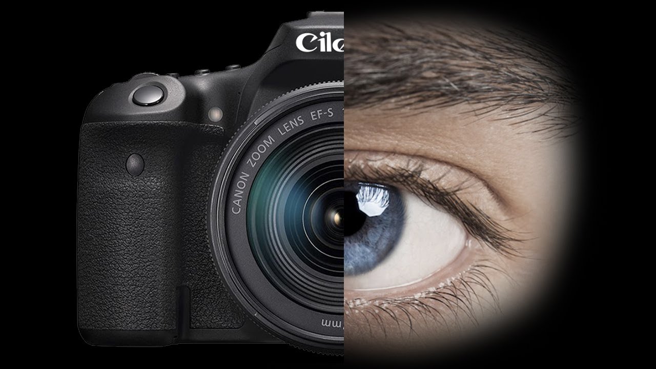 ZAŠTO JE LEPŠE UŽIVO NEGO NA SLICI?