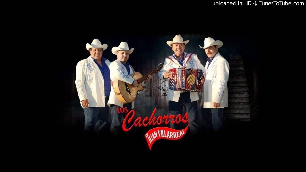 Los Cachorros de Juan Villareal Puras Pa'Adoloridos 💯😢