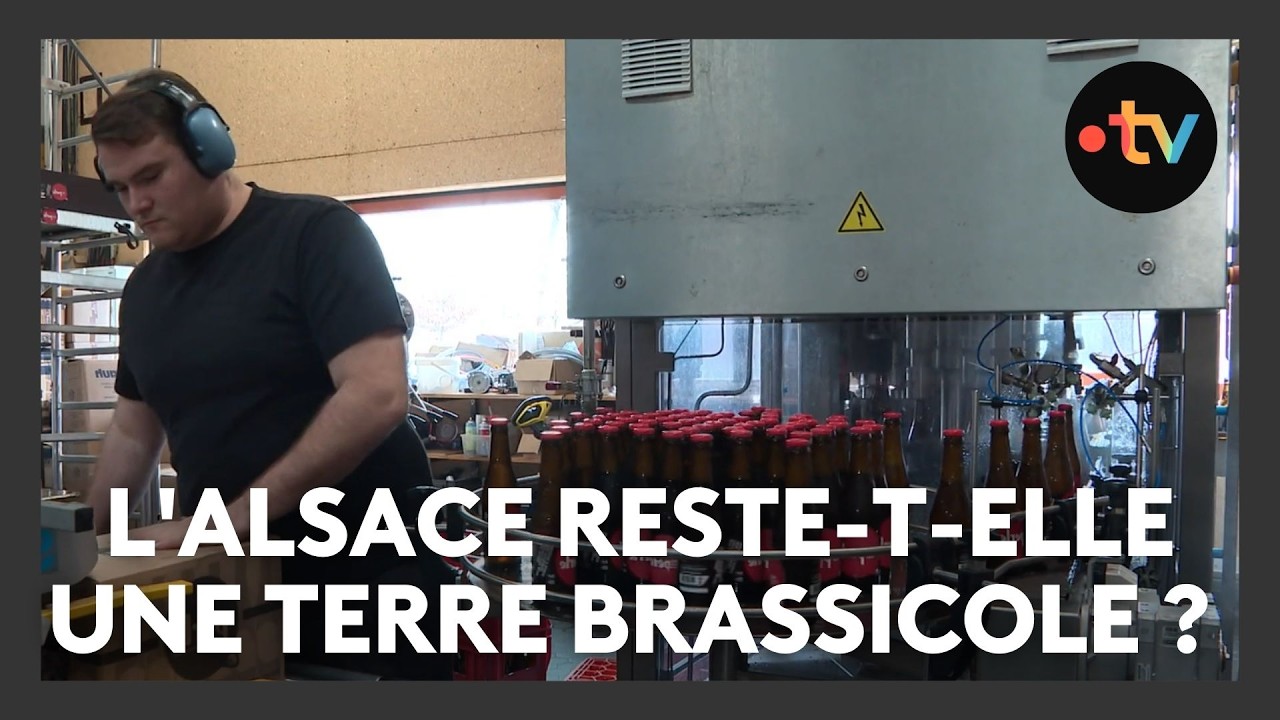 Recul de la production brassicole alsacienne
