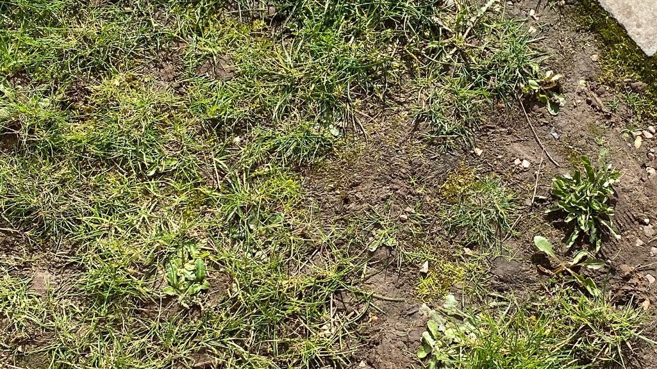 IRL hide and seek 