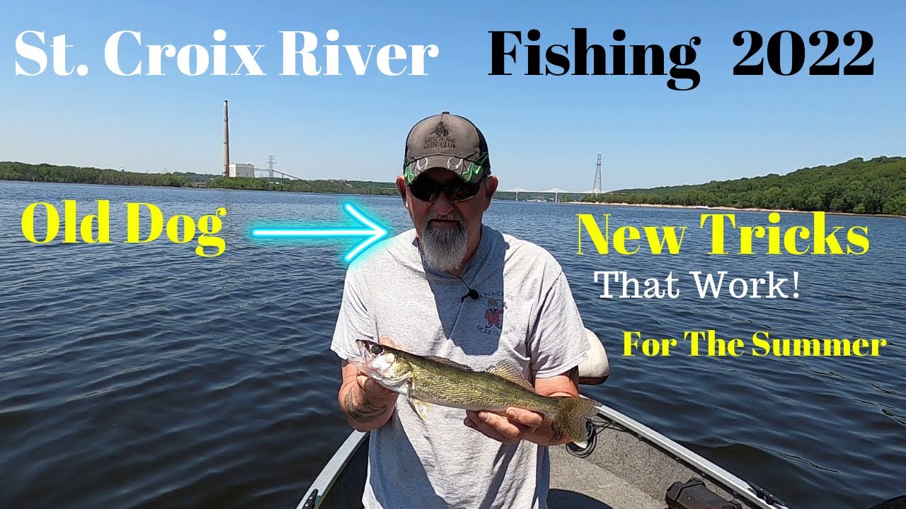 St. Croix River Summer Fishing Minnesota. Walleye's, Saugers and MORE
