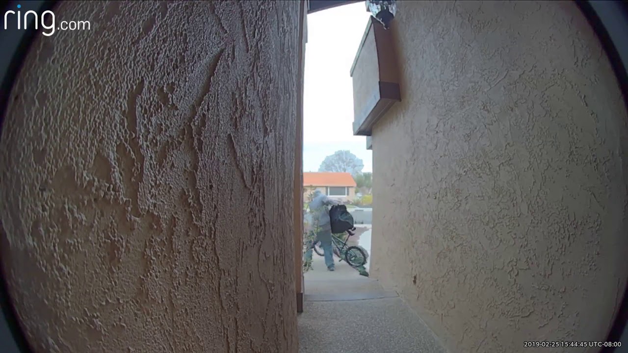 Thieves Caught and Confronted by Ring Doorbell Camera
