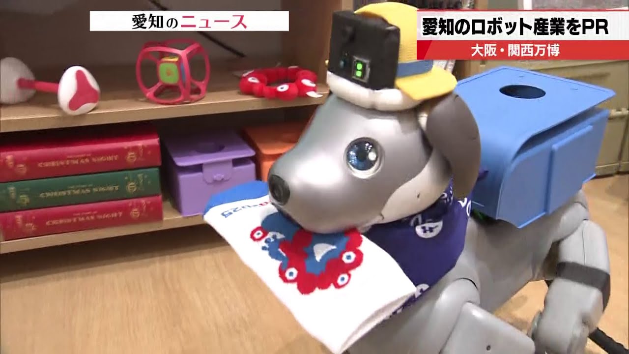 ペットロボット「aibo」が靴下を運ぶ！　大阪・関西万博で愛知のロボット技術をPR