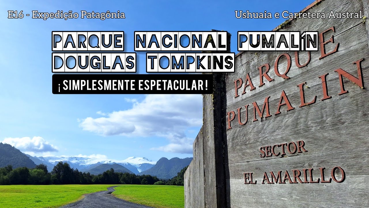 E16 | Visite o Parque Nacional Pumalín Douglas Tompkins Setor El Amarillo