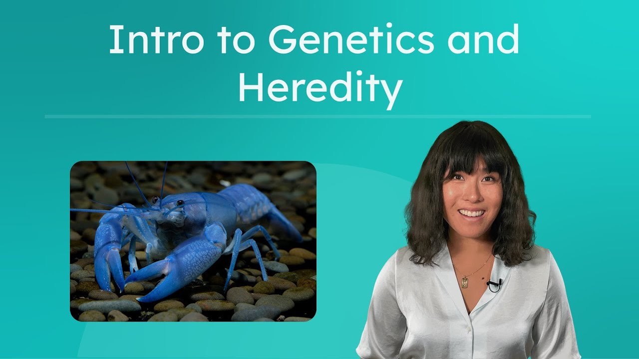 Intro to Genetics and Heredity - Previewing Traits and Inheritance