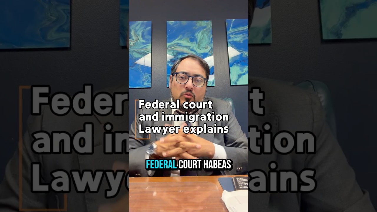 Federal Courts vs. Immigration Detention: How These Cases Work