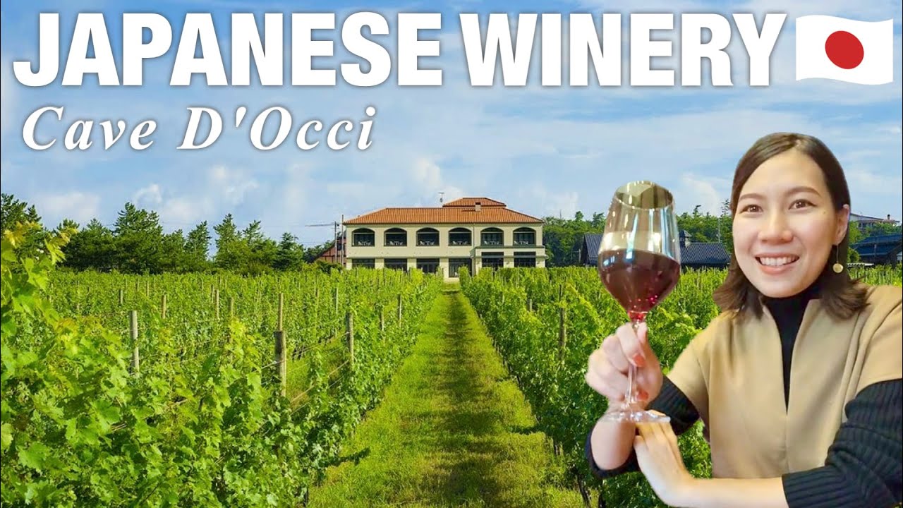 NIIGATA🇯🇵  Go to a Japanese winery 
