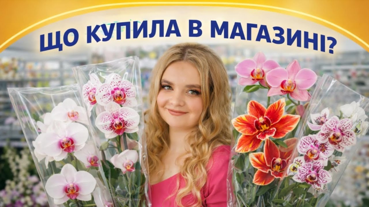 Що купила в магазині ?