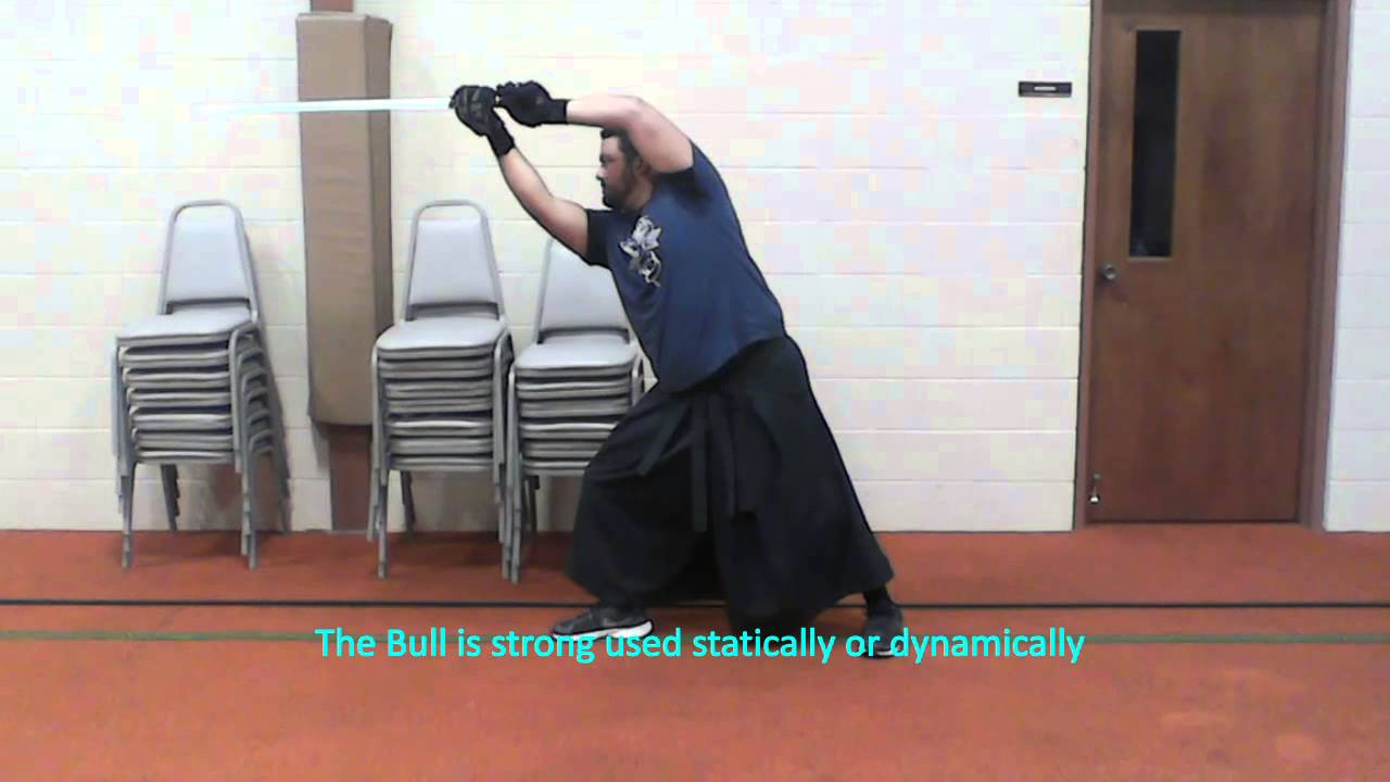 Djem So Fundamentals 1; Guards and Wards