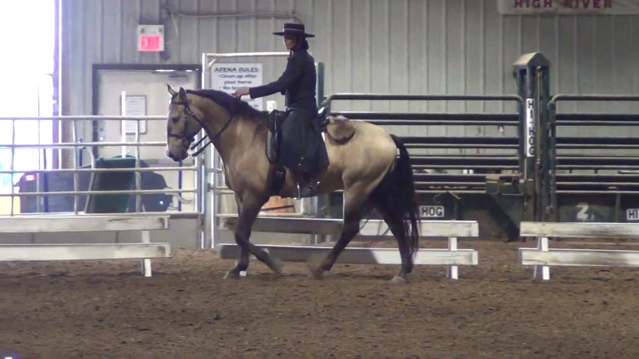 Cossaco (Lusitano) & Jill Barron (Working Equitation - L6 Advanced Test)