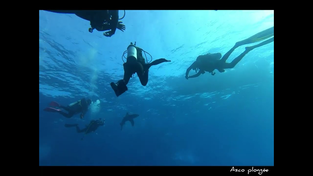 Rohanou Resort Red Sea Vidéo n°1 4K