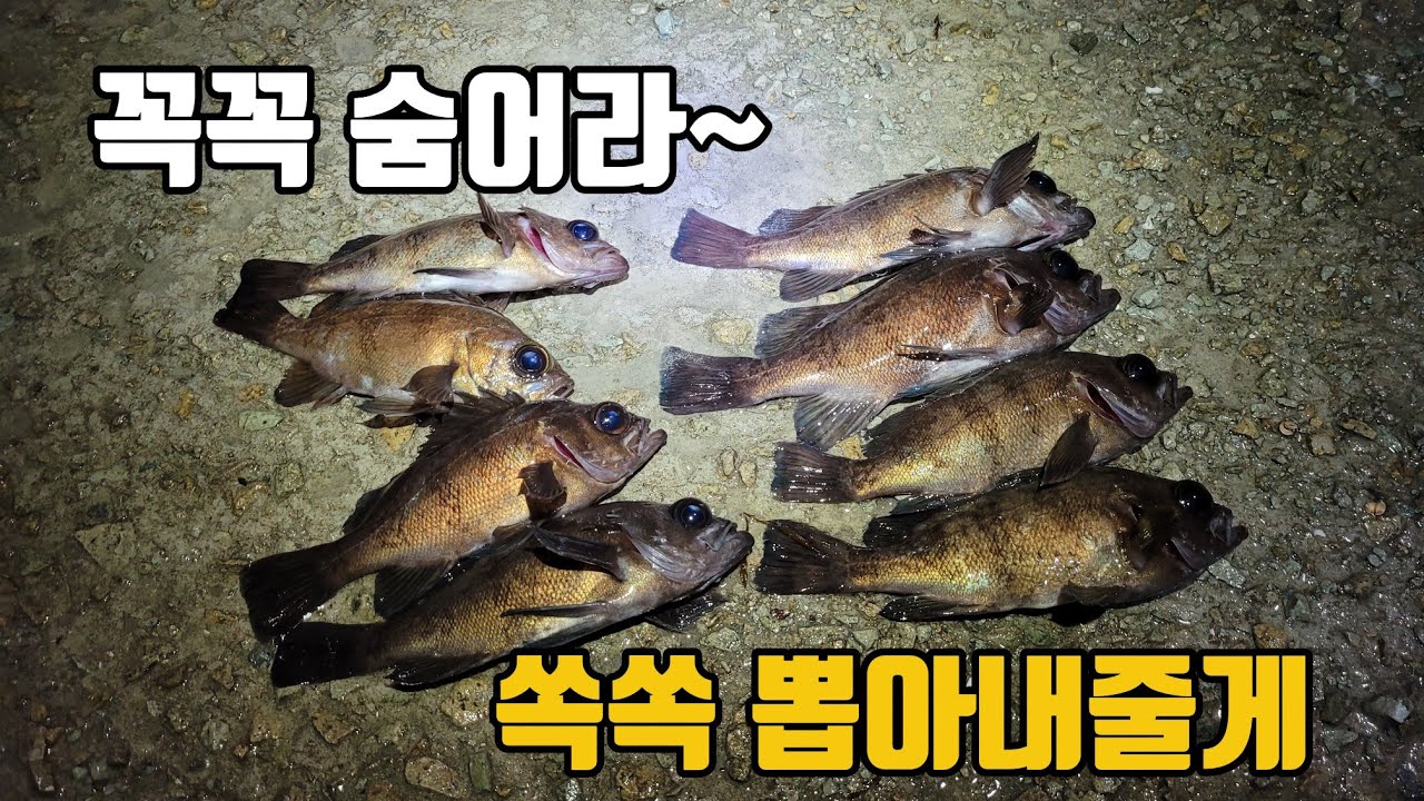 몰 뒤에 꼭꼭 숨어 있는 녀석들을 끄집어 내어 보자!!