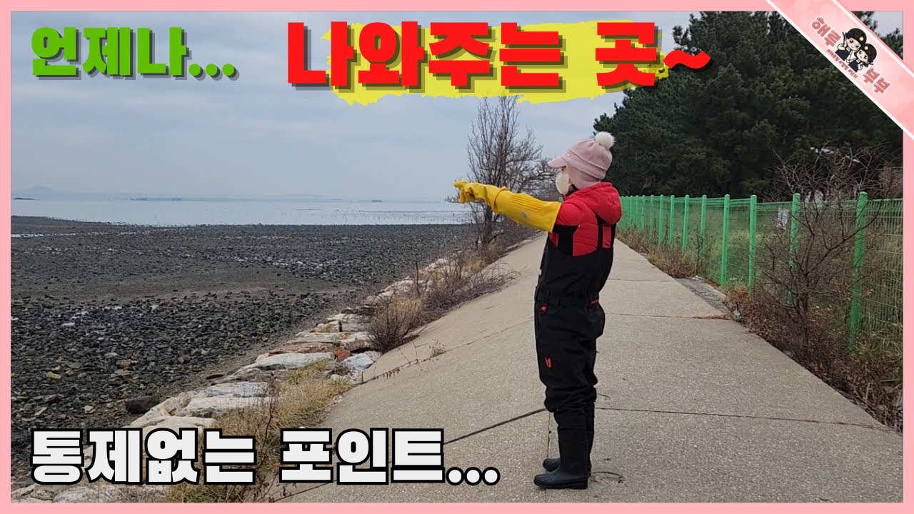 주간 해루질 언제나 실망 없이 만족하는 항구 포인트