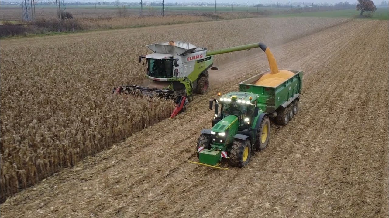 Zber kukurice 2025 | Claas Lexion 770 TT | John Deere 6215R | Case Puma 210 
