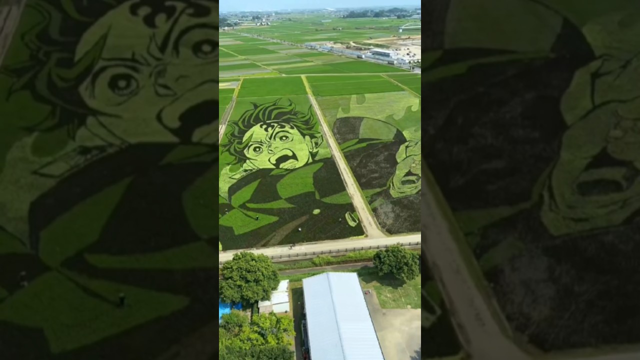 Japan&rsquo;s CRAZIEST Anime District!