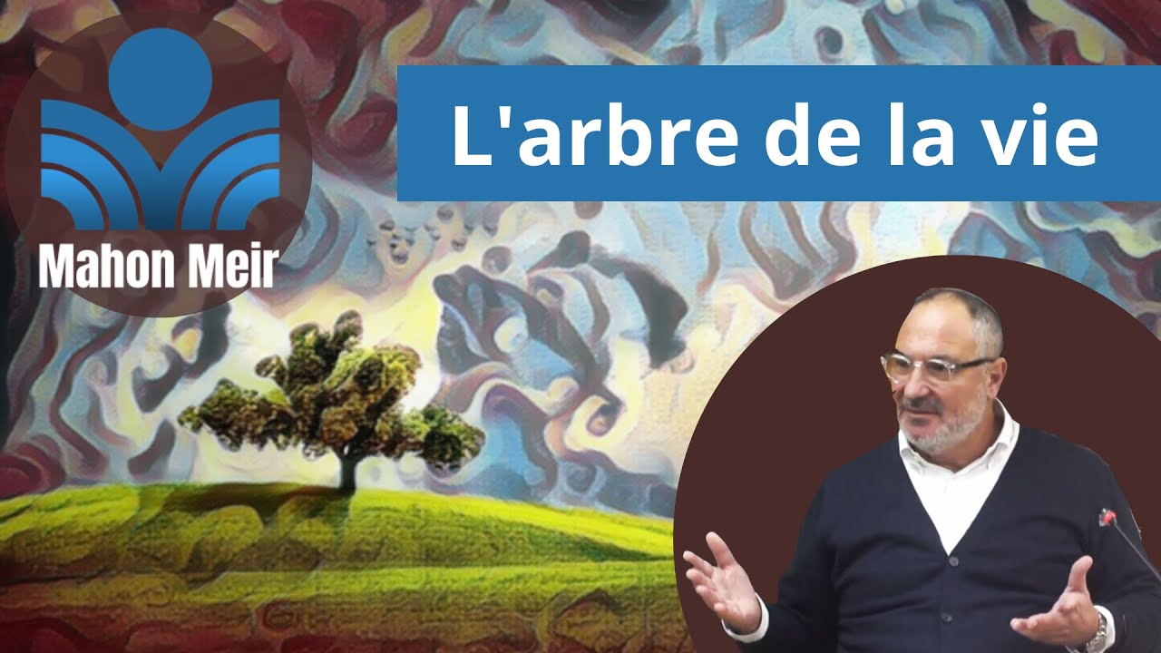 L'arbre de la Vie | Cours de Torah du Rav Yoel Benharrouche