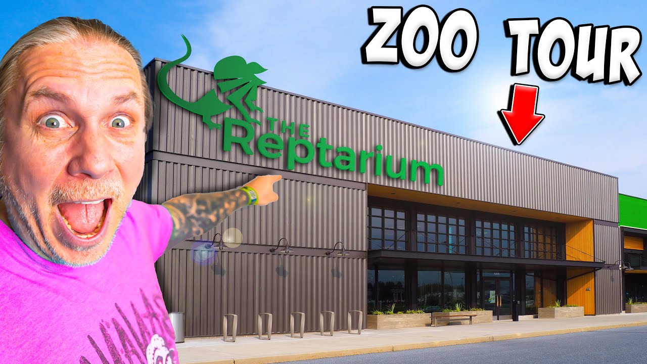 Complete Cage By Cage Tour Of My Reptile Zoo!