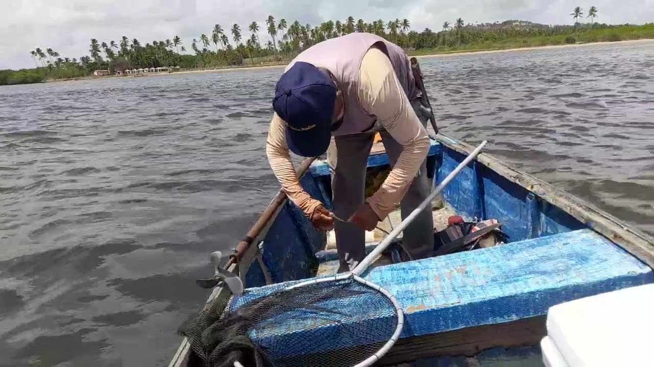 Pesca da arraia!21/01/2026