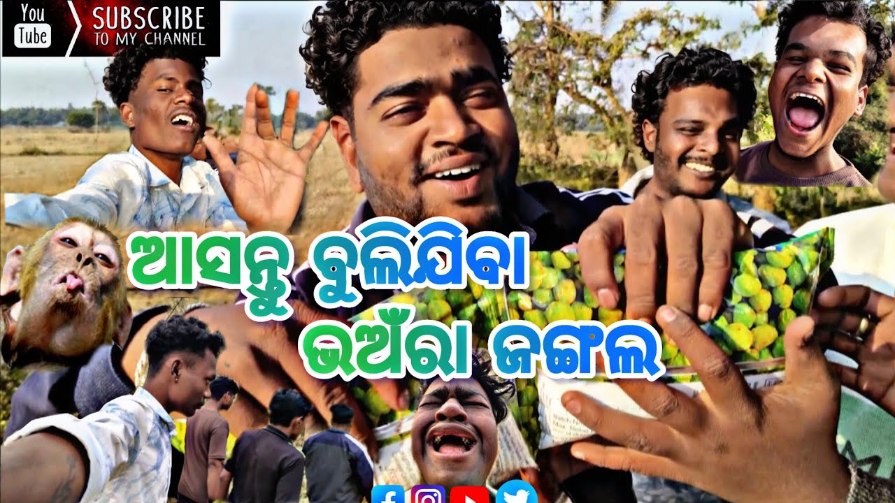Asantu bulijiba bhanra jangal part1