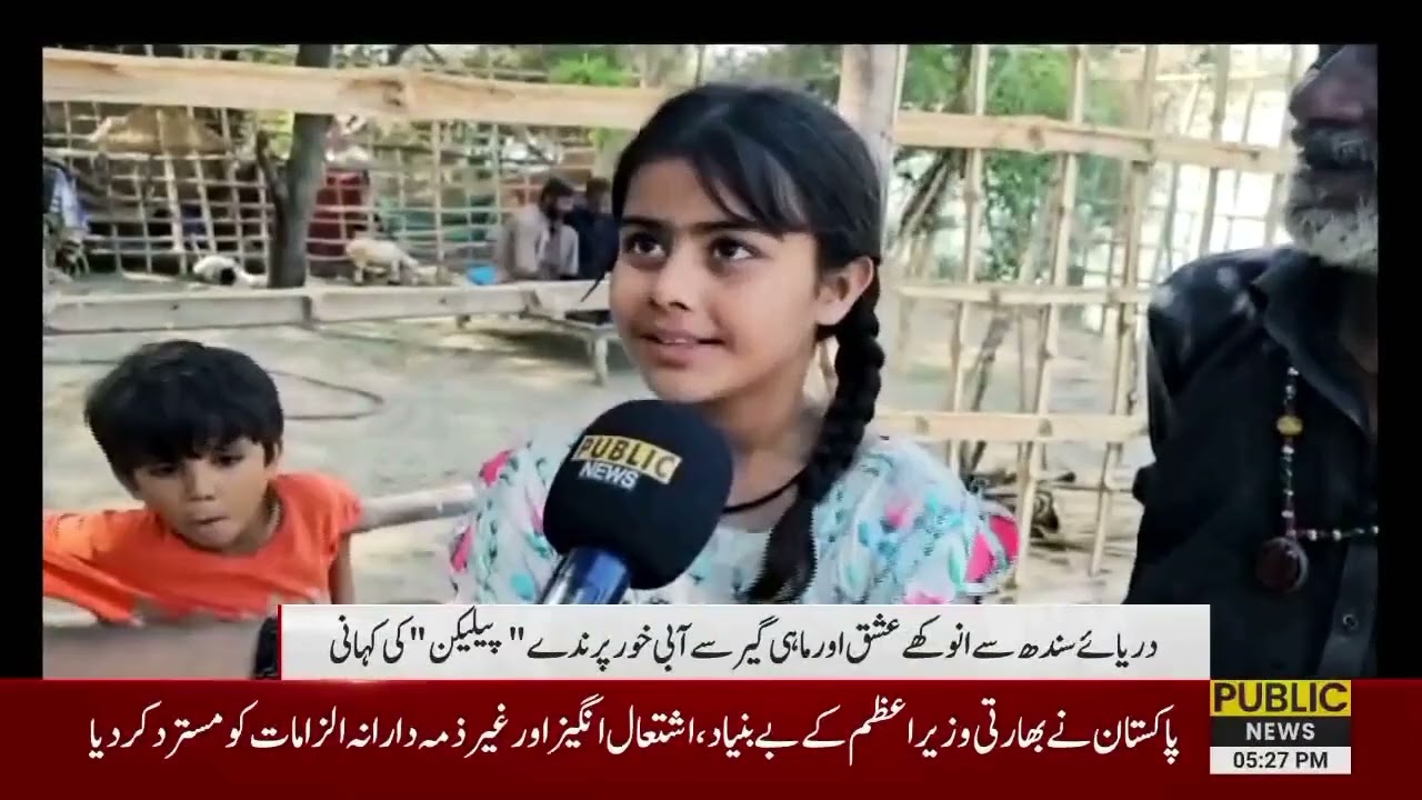 Hyderabad daria kinare ek parinde aor Mahigir ki muhobat ki dastan!!. . . Naveed rajput public news 