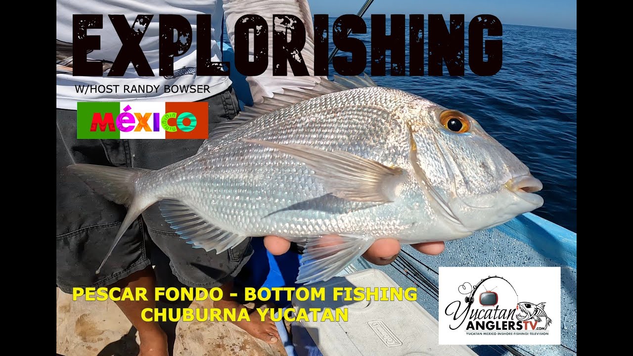 YucatanAnglersTV Ep5 Season 5 -EXPLORISHING-